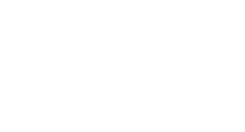 Property Team